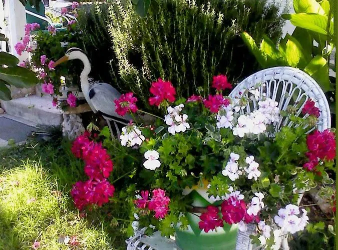 Sanjkovic * Rovinjsko Selo