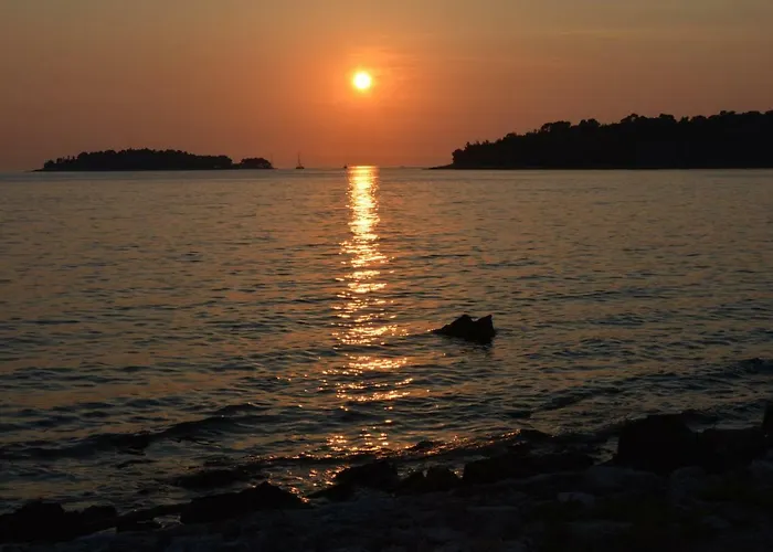 Sanjkovic Rovinjsko Selo