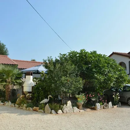 Sanjkovic 로비니스코 셀로