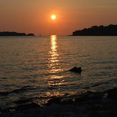 Sanjkovic Ровиньско село