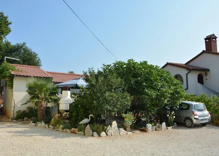 Sanjkovic 로비니스코 셀로