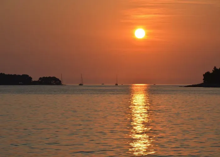 펜션 Sanjkovic 로비니스코 셀로