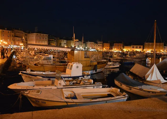 펜션 Sanjkovic 로비니스코 셀로