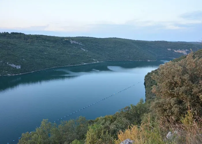 Sanjkovic * 로비니스코 셀로